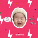 아이픽쳐스 | 돌잔치 성장동영상, 셀프로 할까 맡길까?｜콩픽쳐스 피그베이비 후기