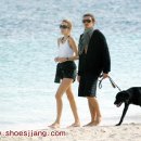 스타애견 이미지