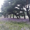 (주)고운벗 이미지