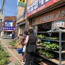 라미제과 이미지