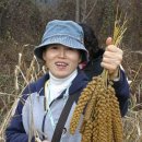 승안농장 뉴시스