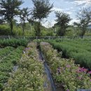 풍경공원 화장실 이미지