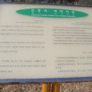 순흥의 연리지송 이미지