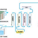 숲속공기 이미지