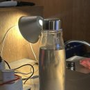 오늘 교동 | 대구교동술집 <도쿄테이스트> 이자카야 후기