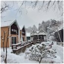 숲앤숲펜션 이미지