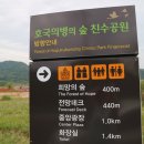 종부둔치화장실(백일홍화장실) | 경남 10월 의령 댑싸리보다 아스타국화 핑크뮬리 꽃구경