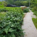 다우농장 이미지