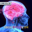 카페인중독천안