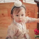 더카멜리아