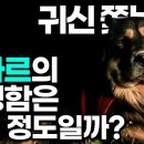 몽골 유목민과 수 세기 동안 대초원을 누볐던 개 '방카르'! 귀신까지 쫓는다는 방카르의 용맹함은 어느 정도일까? #역사 #EBS지식 이미지