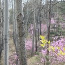 독산공원 이미지