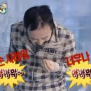 쥐비