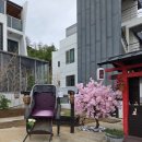 당근풀빌라 | 경주 감포 숙소 당근료칸풀빌라 일본감성 키라키라 101호 솔직후기