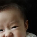 송연 이미지