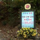 푸른솔염색 네이버블로그