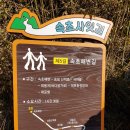 속초사잇길 제5길 티스토리