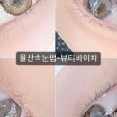 뷰티바이차