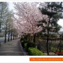 (주)다녀봄 이미지