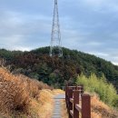 훈이시락국 | 통영여행|시락국맛집|서호시장|훈이시락국|통영 아침식사 추천|7천원의 행복|내돈내산