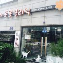 두리동물클리닉 이미지