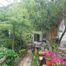 버들치민박 이미지