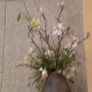 우림교회 이미지