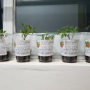 K타이거즈 최강태권도 이미지