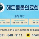 철원동물병원