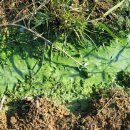 신흥정수장 이미지