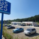 파인트리 이미지