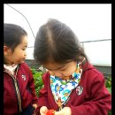 무내미농장 이미지