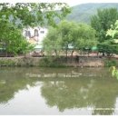 쉴만한 물가 이미지