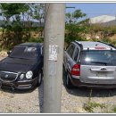 신태평양 이미지