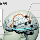 안중중학교 이미지