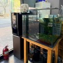 계족산로 | 송촌동장어 풍천장어 남편이랑 몸보신 데이트 다녀온 솔직 후기