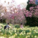 GS목련주유소 이미지