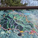 우암산등산로1 이미지