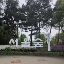 성수동언니 - 동두천시 정장로17번길 24 | 서울숲 성수동 코스 버거다이브까지 완벽했던 이유