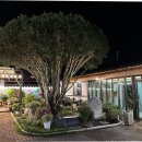 읍성길 | 광양 불고기집 현지인 맛집 내돈내산 광양불고기 후기