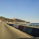 테마25모텔 | 후포항 숙소 오션뷰인 테마모텔