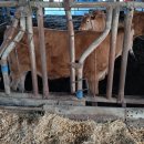 명심축산 이미지