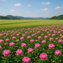 푸름공원 이미지