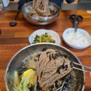 동심막국수 | [강릉] 막국수러버의 동심막국수 방문 후기