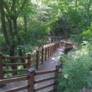 김천물소리생태숲_#2 이미지