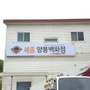 세종양봉백화점 | [대전인쇄]세종양봉백화점 CI제작