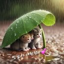 639회 이화복지관 봉사 이미지