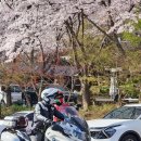 화천양만장 네이버블로그
