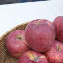 오시롬 농장 이미지