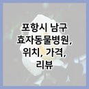 효자동물병원 이미지